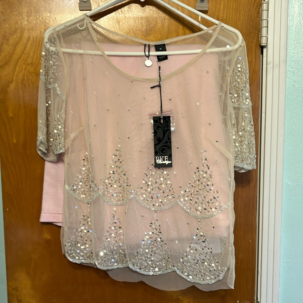 BKE Pink Sheer Sequin Embellished Crop Top